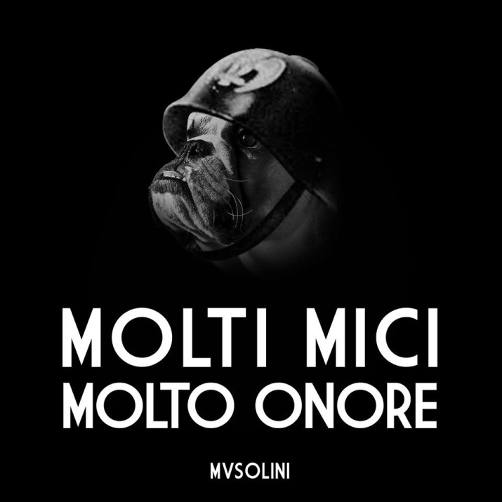 molti mici
